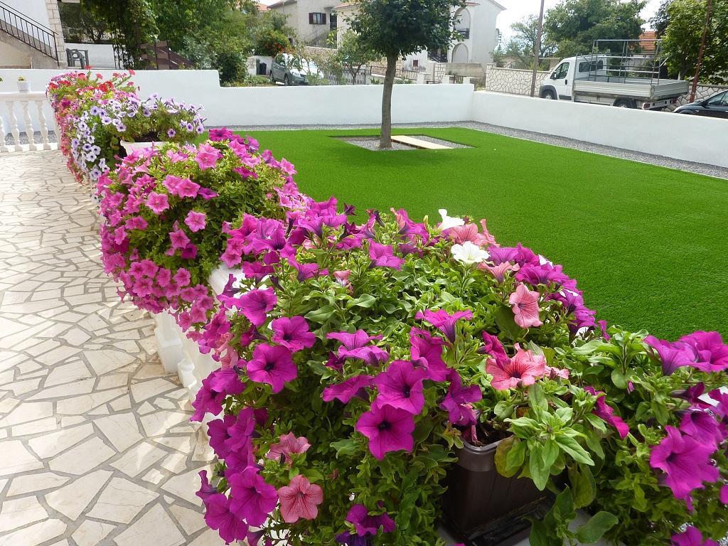 Apartament Rose *